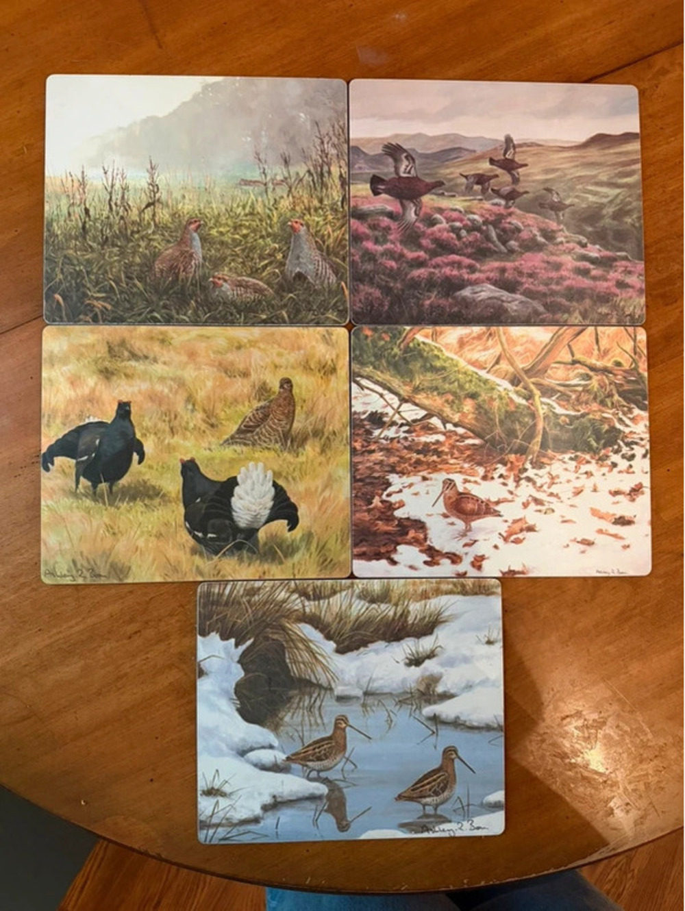Lady Clare Set of 5 Wildlife Birds Hardboard Coasters